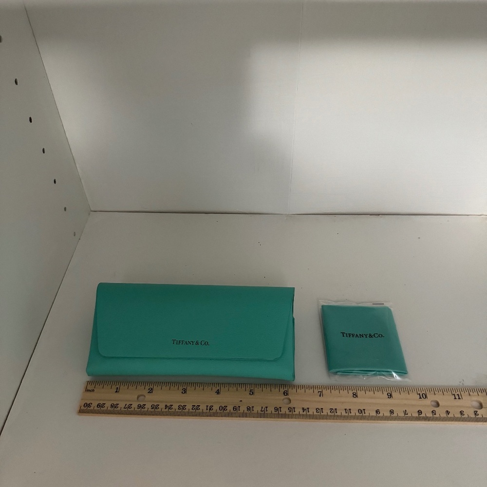 Tiffany & Co. Eye Glass  Light Green Case  With Cleaning Cloth NWOT